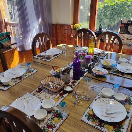 Aroma Taru Villa / Cottage ,Manali エクステリア 写真