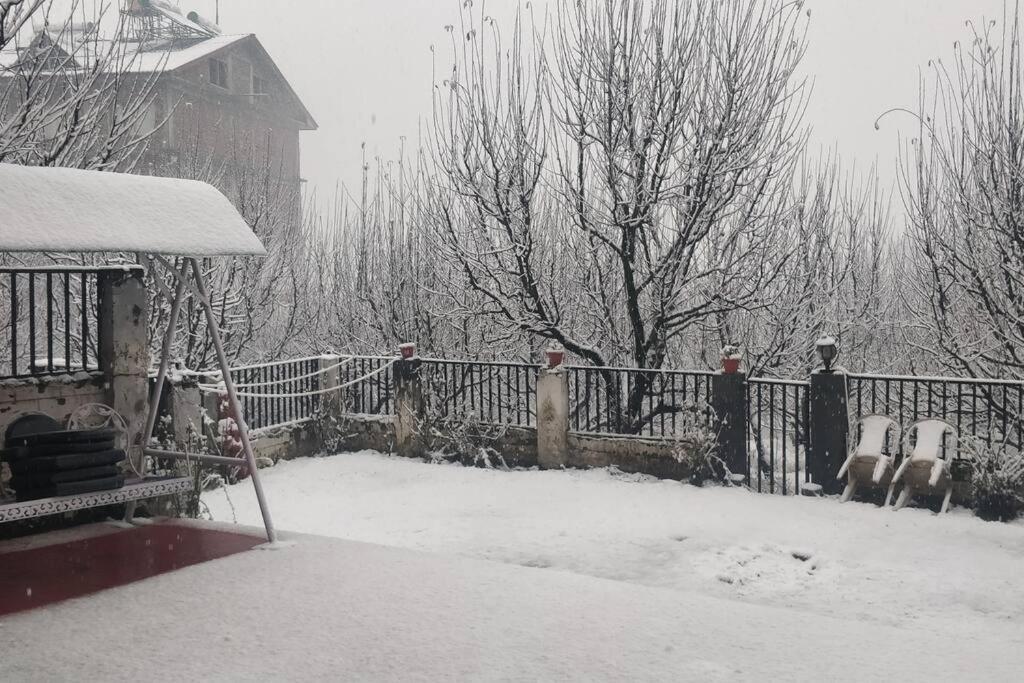Aroma Taru Villa / Cottage ,Manali エクステリア 写真
