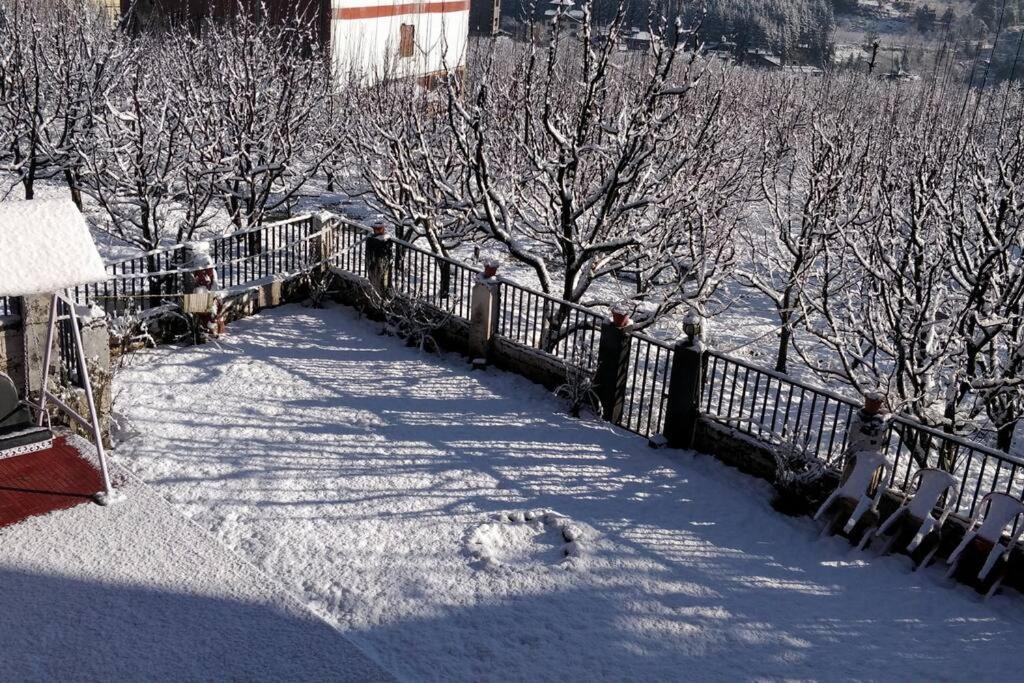 Aroma Taru Villa / Cottage ,Manali エクステリア 写真