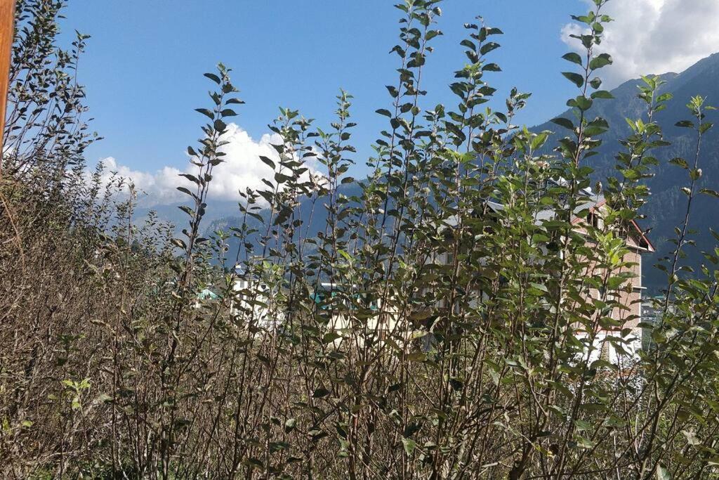 Aroma Taru Villa / Cottage ,Manali エクステリア 写真
