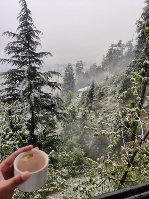 Aroma Taru Villa / Cottage ,Manali エクステリア 写真