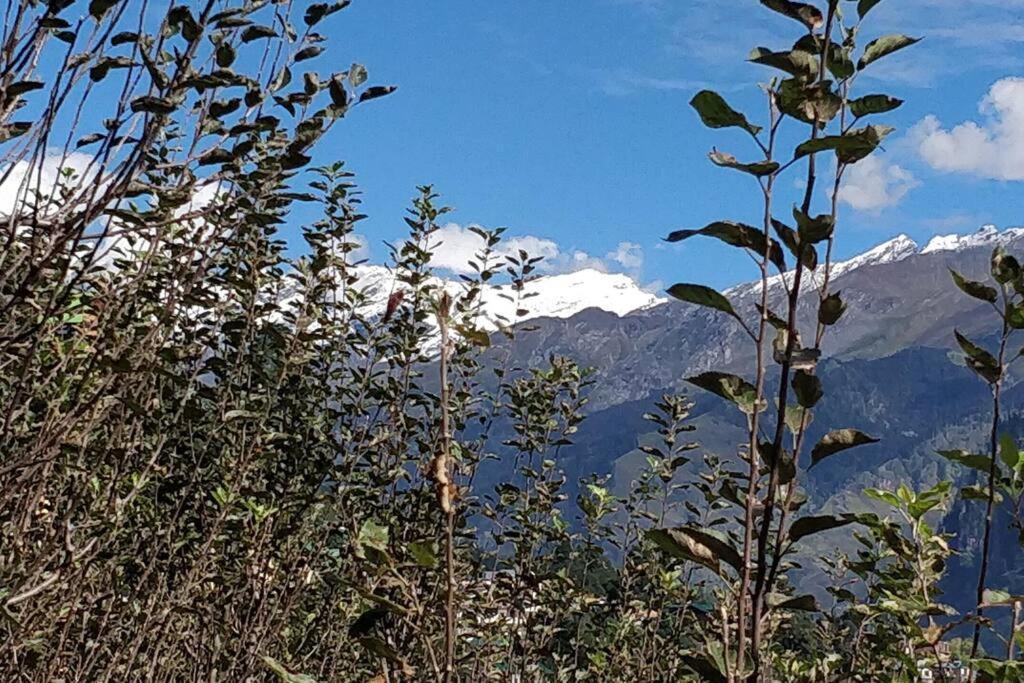 Aroma Taru Villa / Cottage ,Manali エクステリア 写真